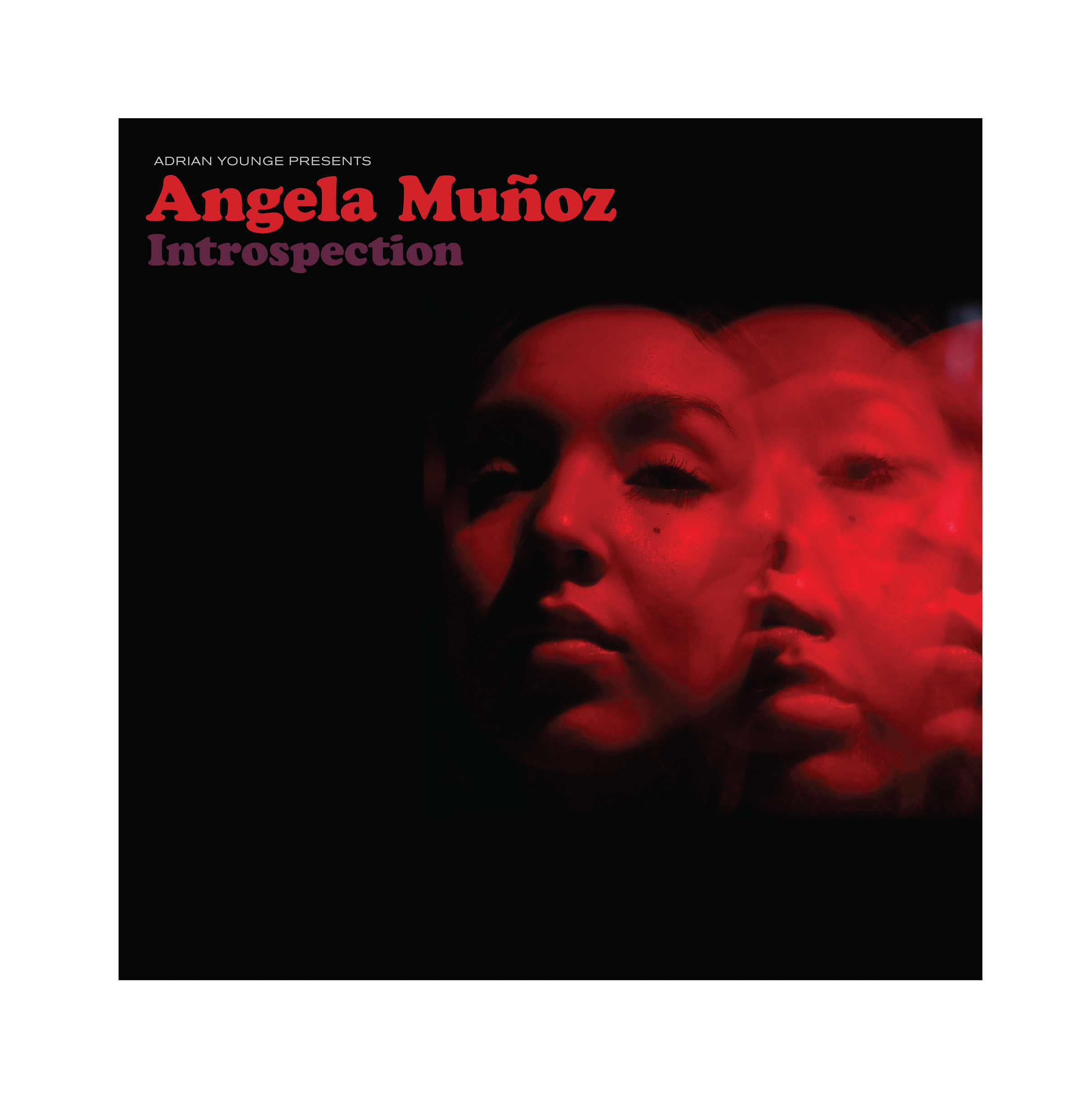 書籍コレクション LOS ANGELES 他 Amazon.com: Los Angeles: The Development, Life, and Structure of